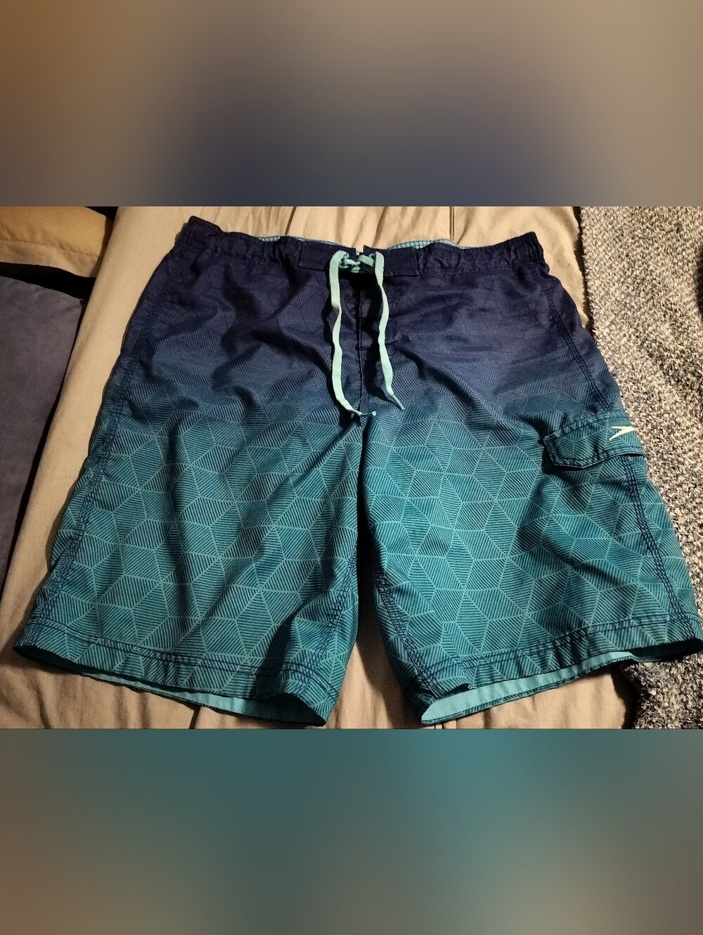 Speedo Men's Geometric Ombre Swim Trunks Board Shorts - Blue/Teal
